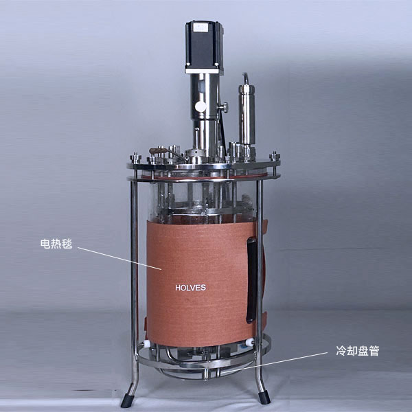 JIUYOU.COM·(中国区)（HOLVES）实验发酵罐