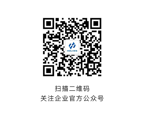 JIUYOU.COM·(中国区)HOLVES