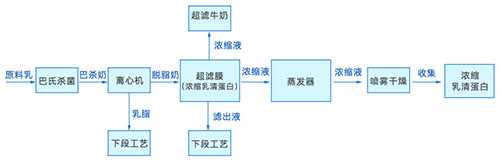 牛乳生产流程图 牛乳生产流程图